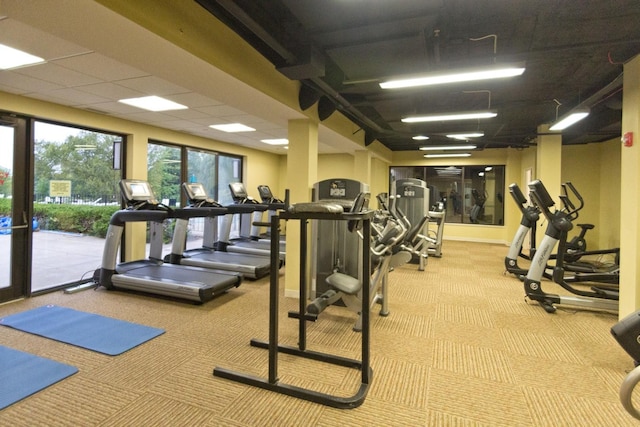 436 Shoreline Rd, Lake Barrington, IL 60010 - workout area with carpet floors