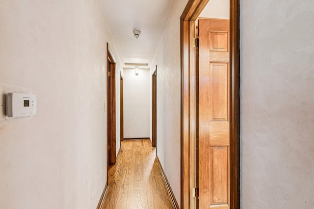 205 Sherwood Rd, Elgin, IL 60120 - hall with light wood-style floors