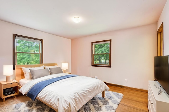 205 Sherwood Rd, Elgin, IL 60120 - bedroom with light wood-style flooring