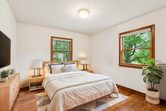 205 Sherwood Rd, Elgin, IL 60120 - bedroom with multiple windows and light wood-type flooring