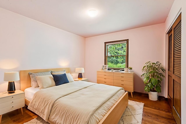 205 Sherwood Rd, Elgin, IL 60120 - bedroom featuring wood finished floors and a closet