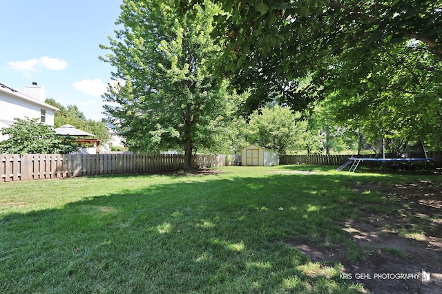 1115 E Fox Chase Dr, Round Lake Beach, IL 60073 - fenced backyard featuring a trampoline and a storage shed