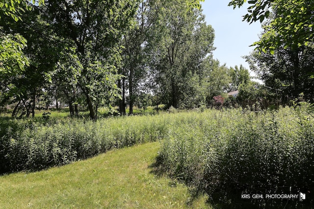 1115 E Fox Chase Dr, Round Lake Beach, IL 60073 - view of local wilderness