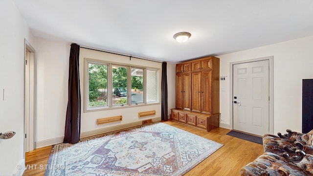 11649 S Walnut Ridge Dr, Palos Park, IL 60464 - entryway featuring light wood-style floors