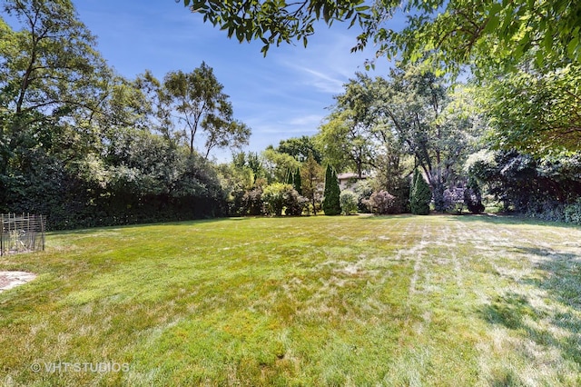 11649 S Walnut Ridge Dr, Palos Park, IL 60464 - view of green lawn