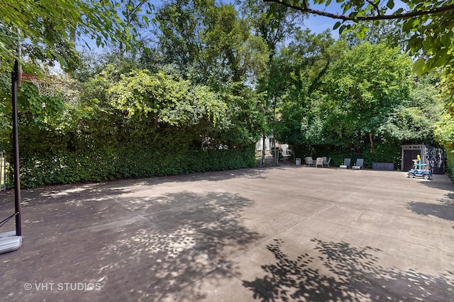 11649 S Walnut Ridge Dr, Palos Park, IL 60464 - view of patio