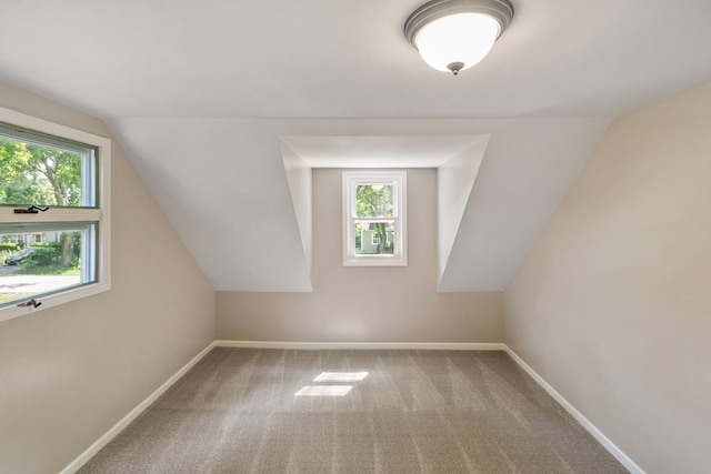 14348 Knox Ave, Midlothian, IL 60445 - additional living space with carpet flooring and lofted ceiling