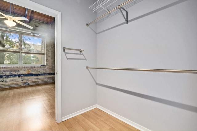 1740 N Maplewood Ave Unit 218, Chicago, IL 60647 - spacious closet with light wood-type flooring and a ceiling fan