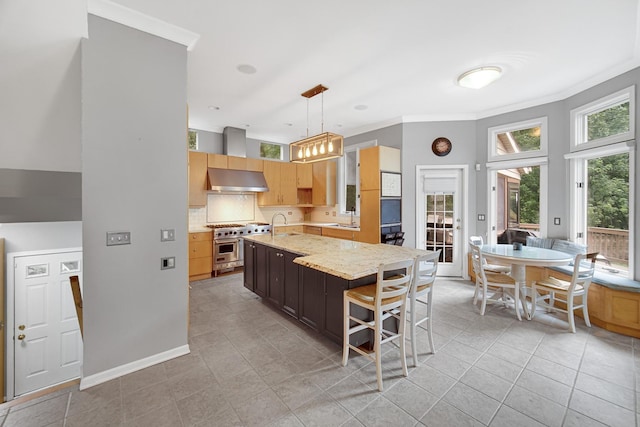 5420 N Lowell Ave, Chicago, IL 60630 - photo 6
