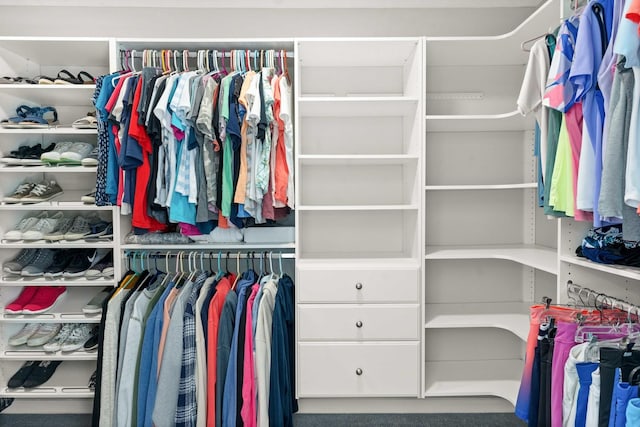 2913 Fox Creek Rd, Bloomington, IL 61705 - view of walk in closet