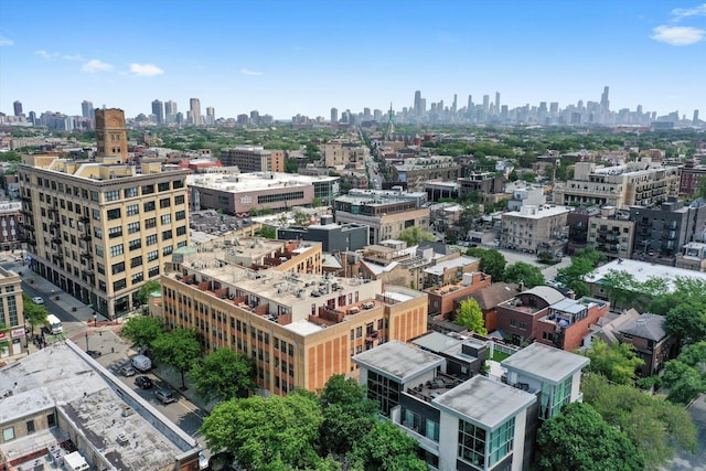 1645 W School St Unit 318, Chicago, IL 60657 - skyline view