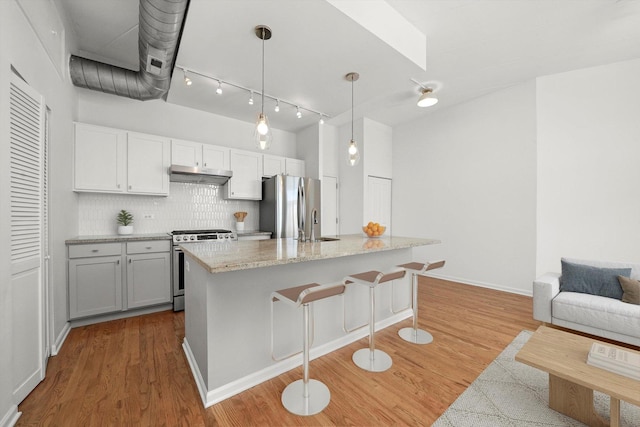 1645 W School St Unit 318, Chicago, IL 60657 - kitchen with appliances with stainless steel finishes, under cabinet range hood, tasteful backsplash, and wood finished floors