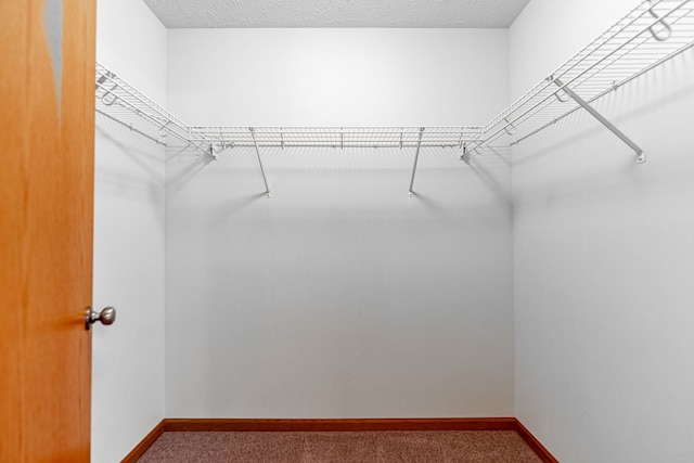 10578 Harrison Ct, Roscoe, IL 61073 - walk in closet with carpet flooring