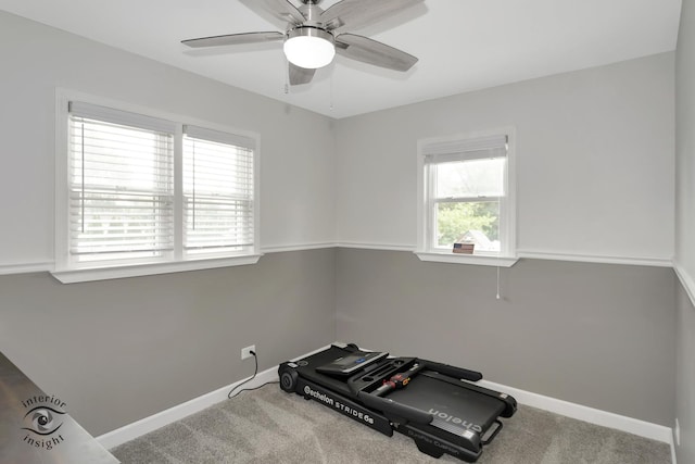 7027 174th Pl, Tinley Park, IL 60477 - workout area with ceiling fan and carpet