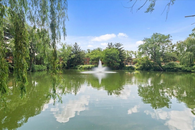 1220 Park Ave W Unit 123, Highland Park, IL 60035 - photo 20