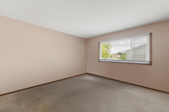 463 Raphael Ave, Buffalo Grove, IL 60089 - photo 18