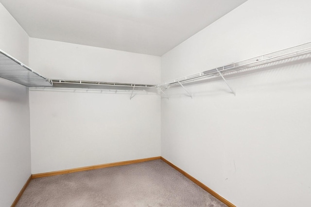 1271 Mcdole Dr, Sugar Grove, IL 60554 - walk in closet with light carpet