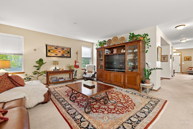 365 Oakmont Dr, Cary, IL 60013 - living area with healthy amount of natural light and light carpet