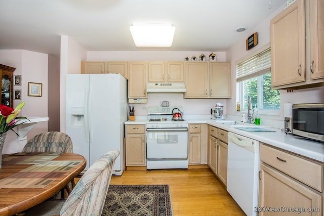 2325 N Lenox Ct, Round Lake Beach, IL 60073 - kitchen with white appliances, under cabinet range hood, light brown cabinetry, light countertops, and light wood-style flooring