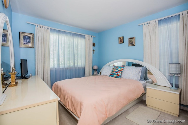 2325 N Lenox Ct, Round Lake Beach, IL 60073 - view of bedroom