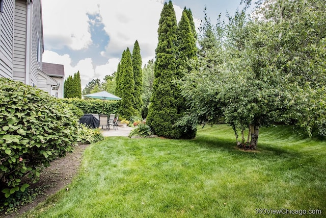2325 N Lenox Ct, Round Lake Beach, IL 60073 - view of grassy yard with a patio area