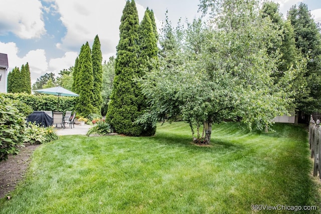 2325 N Lenox Ct, Round Lake Beach, IL 60073 - view of yard featuring a patio area
