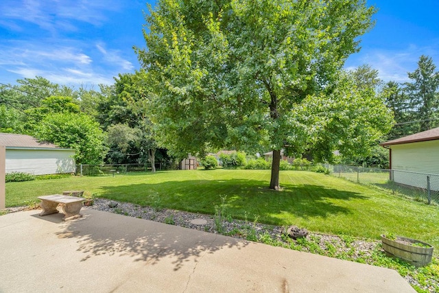 556 W River St, Bourbonnais, IL 60914 - view of yard with a patio area and a storage shed