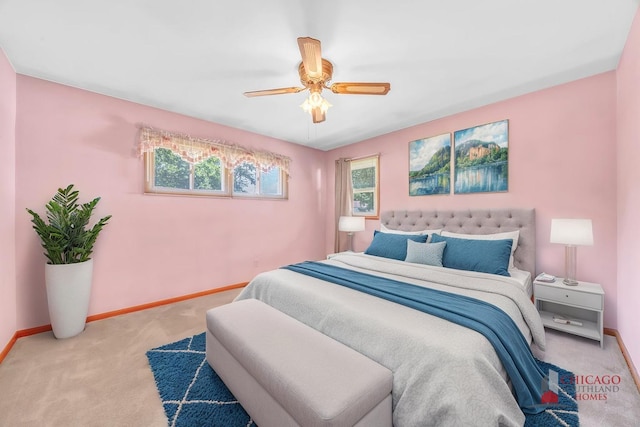 556 W River St, Bourbonnais, IL 60914 - carpeted bedroom with baseboards and ceiling fan