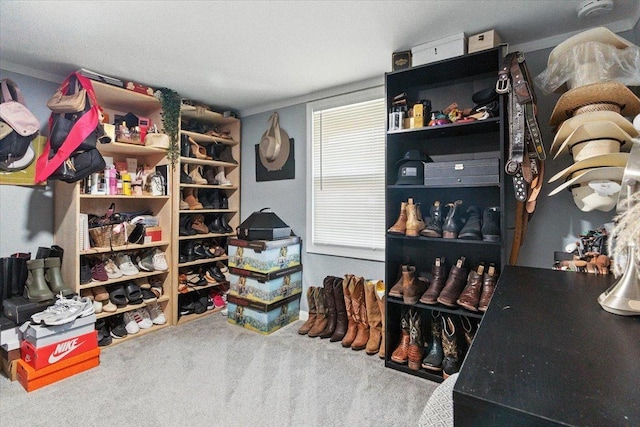 1518 Lucia Ave, Waukegan, IL 60085 - view of storage