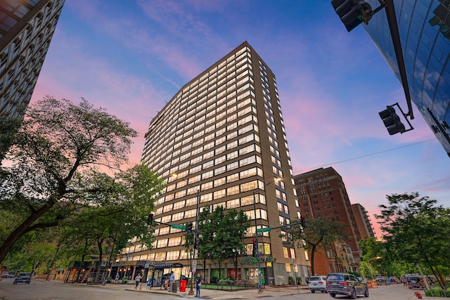 2930 N Sheridan Rd Unit 210, Chicago, IL 60657 - photo 1