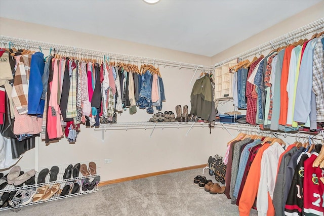 8057 W Duane Dr, Frankfort, IL 60423 - photo 23