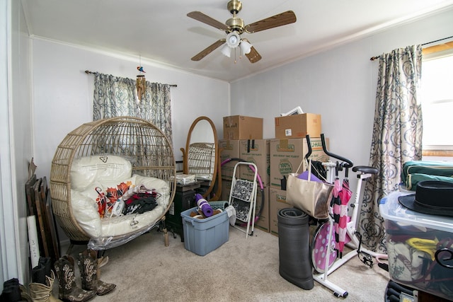 714 Meadow Ct, Bradley, IL 60915 - photo 8