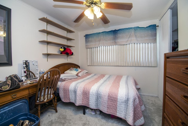 714 Meadow Ct, Bradley, IL 60915 - photo 9