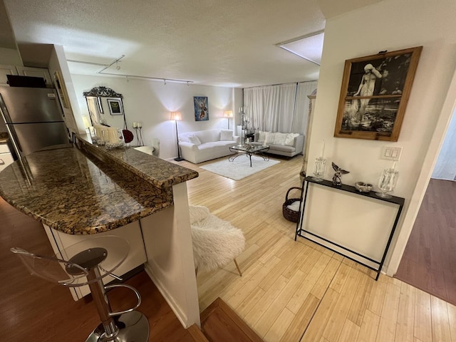230 E Ontario St Unit 905, Chicago, IL 60611 - living area featuring rail lighting, wood finished floors, and a textured ceiling