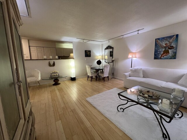 230 E Ontario St Unit 905, Chicago, IL 60611 - living room with light wood-style floors and a textured ceiling