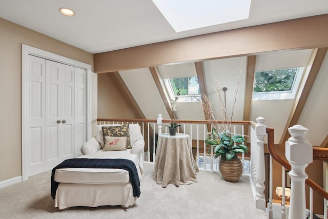 13 Wind Ridge Rd, South Barrington, IL 60010 - carpeted bedroom with a skylight, multiple windows, recessed lighting, and a closet