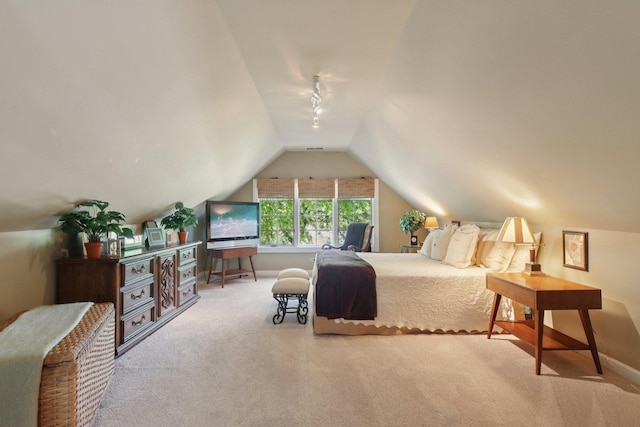 13 Wind Ridge Rd, South Barrington, IL 60010 - carpeted bedroom featuring lofted ceiling and rail lighting