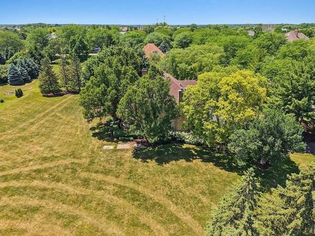 13 Wind Ridge Rd, South Barrington, IL 60010 - drone / aerial view