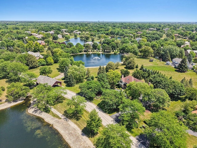 13 Wind Ridge Rd, South Barrington, IL 60010 - aerial view of a large body of water