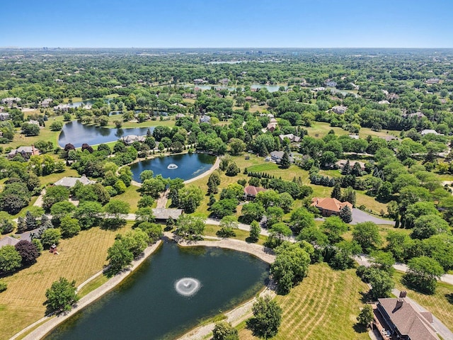 13 Wind Ridge Rd, South Barrington, IL 60010 - bird's eye view of a nearby body of water