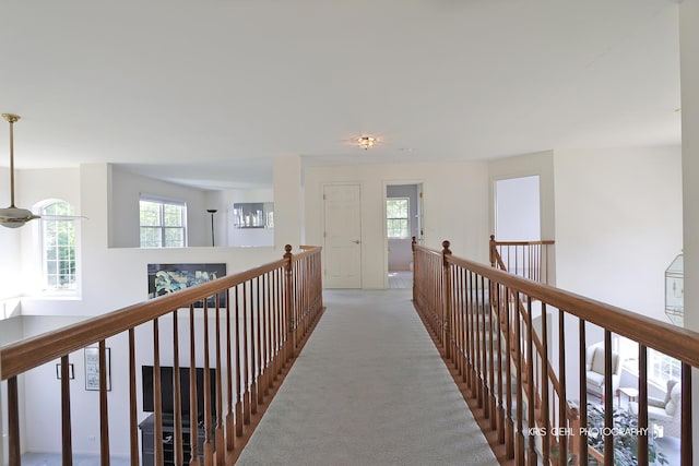 18600 W Lazy Acre Rd, Lake Villa, IL 60046 - photo 12