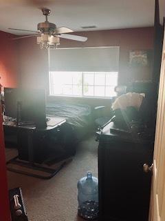 1463 Carlisle Ln, Hampshire, IL 60140 - bedroom with a ceiling fan