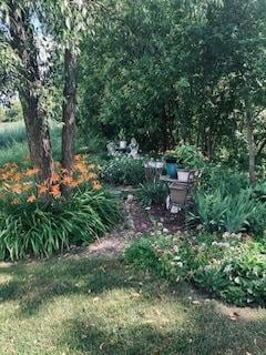 1463 Carlisle Ln, Hampshire, IL 60140 - view of yard