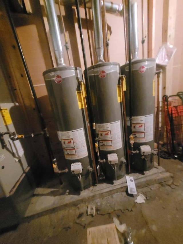 8344 S Mackinaw Ave, Chicago, IL 60617 - utility room with gas water heater