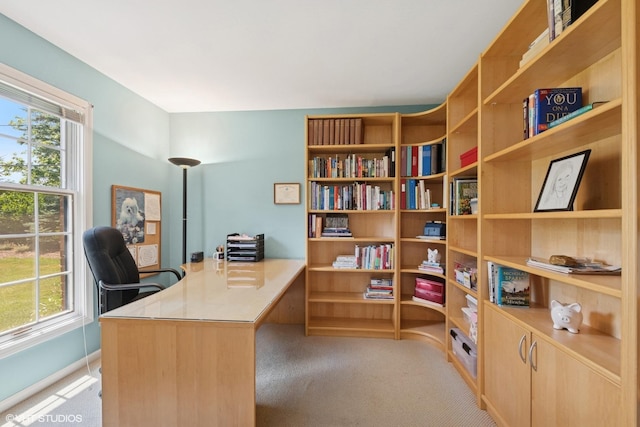375 Sunset Dr, Northfield, IL 60093 - home office with light colored carpet and healthy amount of natural light