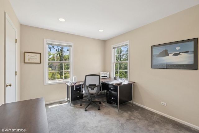 375 Sunset Dr, Northfield, IL 60093 - office space with plenty of natural light, carpet floors, and recessed lighting