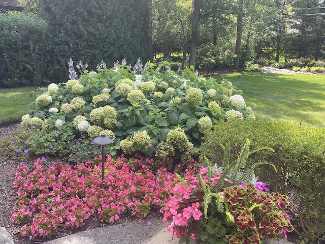 375 Sunset Dr, Northfield, IL 60093 - view of green lawn
