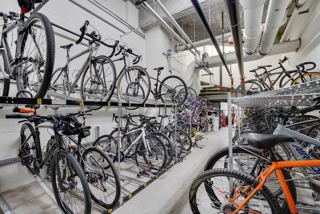 645 N Kingsbury St Unit 2002, Chicago, IL 60654 - garage featuring bike storage
