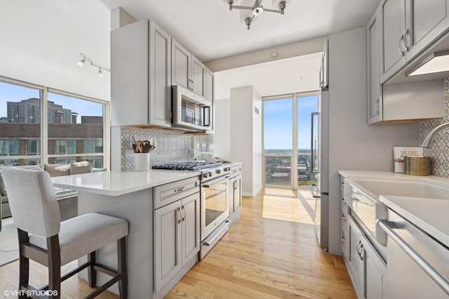 645 N Kingsbury St Unit 2002, Chicago, IL 60654 - kitchen featuring appliances with stainless steel finishes, gray cabinetry, tasteful backsplash, and light wood-style floors