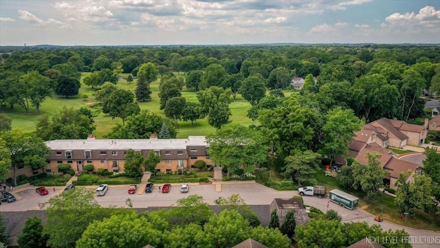 208 Kenston Ct Unit 208, Geneva, IL 60134 - aerial view